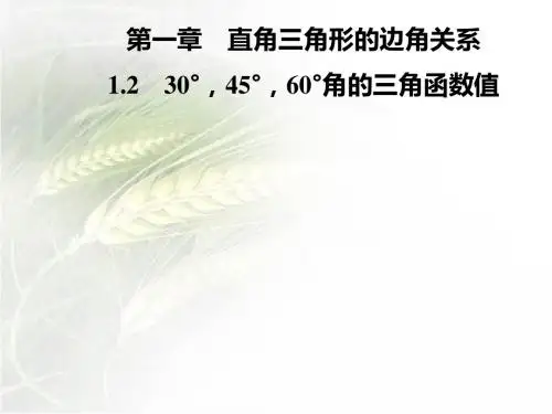 北师版九年级数学下册第一章1.2 30°,45°,60°角的三角函数值