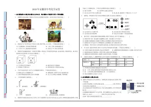 2019年安徽省中考化学试卷(已排版,可直接打印)