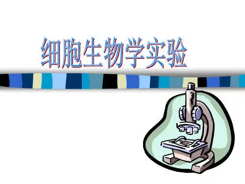 显微测量