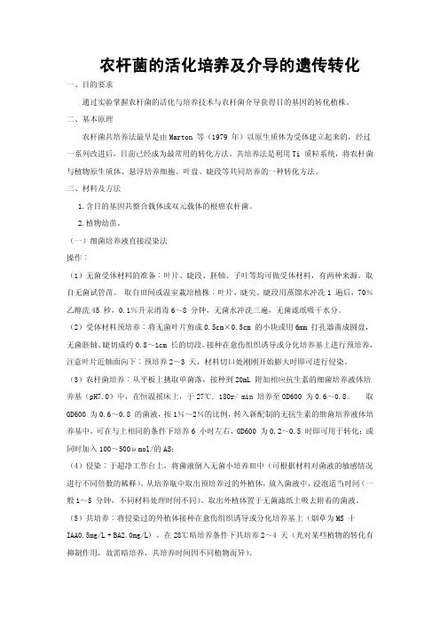 农杆菌的活化培养及介导的遗传转化