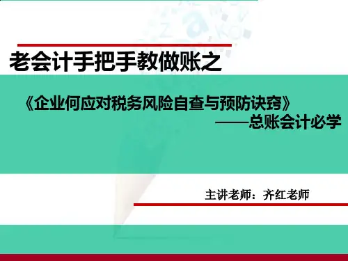 齐红-47个实例解析如何应对各种税务风险(10集)