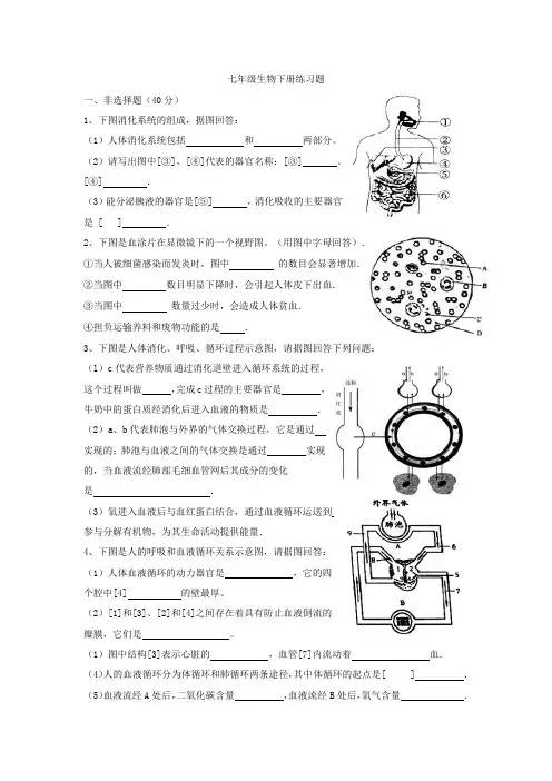 初中七年级生物下册练习题