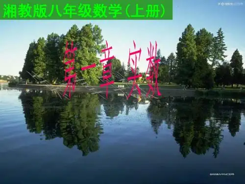 1.1平方根1