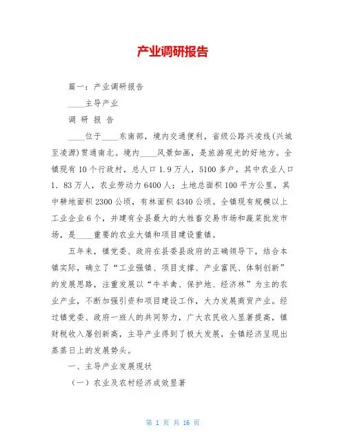 产业调研报告