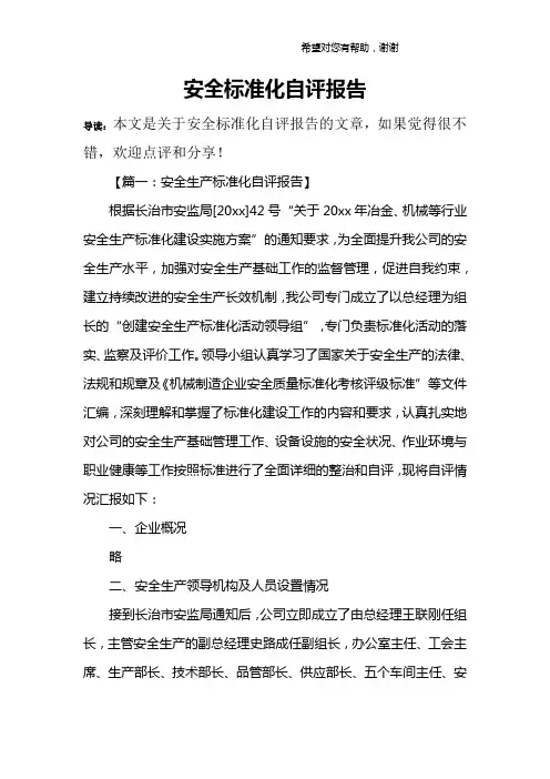 安全标准化自评报告 3