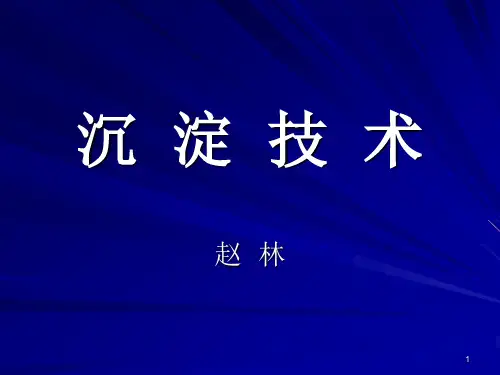 (4) 絮凝沉淀技术