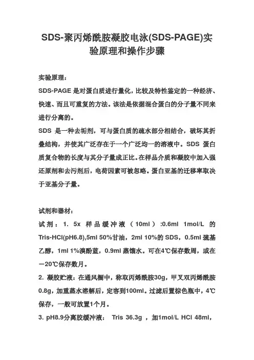 SDS-聚丙烯酰胺凝胶电泳(SDS-PAGE)实验原理和操作步骤