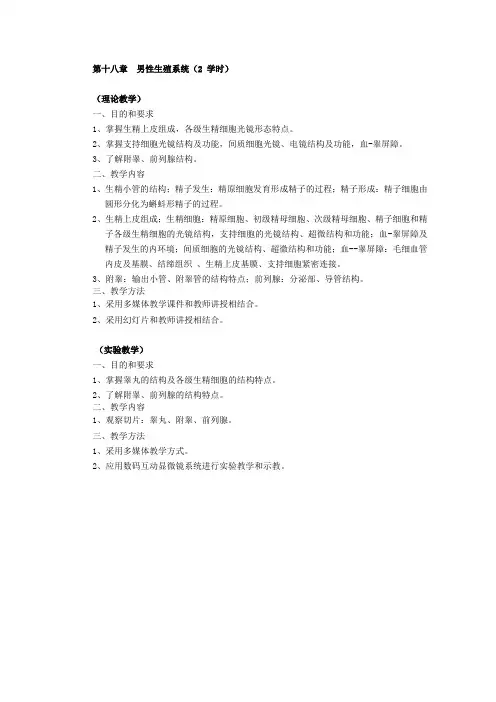 第十八章 男性生殖系统2学时