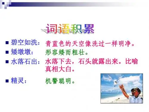 7彩色的翅膀PPT课件