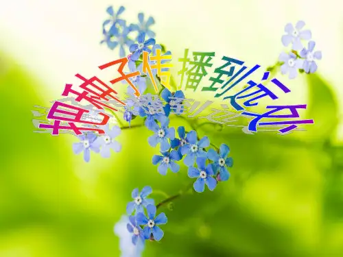 四年级下册科学课件PPT：把种子传播 到远处-教科版1