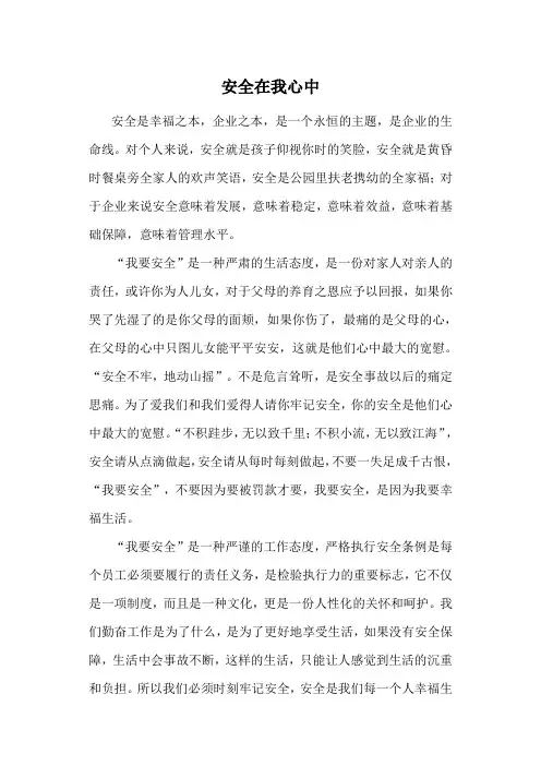 安全在我心中