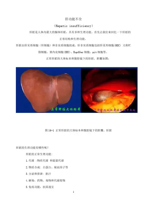 肝功能不全 2