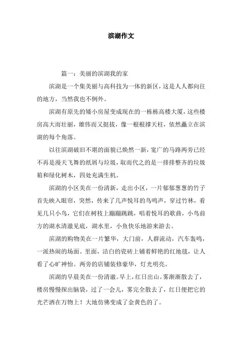 滨湖作文