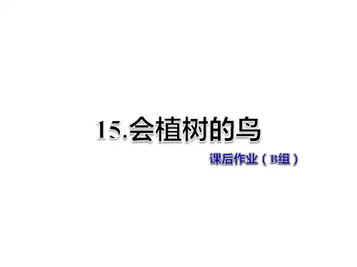 冀教版三年级语文上册第15课《会植树的鸟》课后作业B组课件