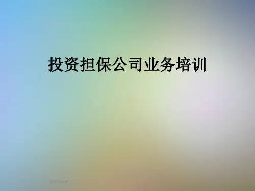 投资担保公司业务培训