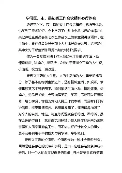 学习区、市、县纪委工作会议精神心得体会