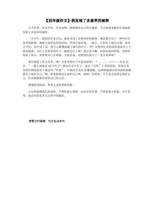 【四年级作文】我发现了含羞草的秘密