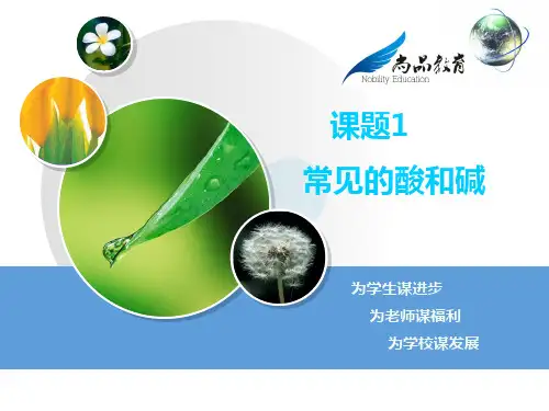 初三化学    常见的酸和碱