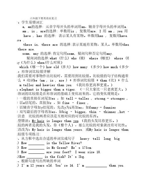 湘少版六年级下册英语总复习