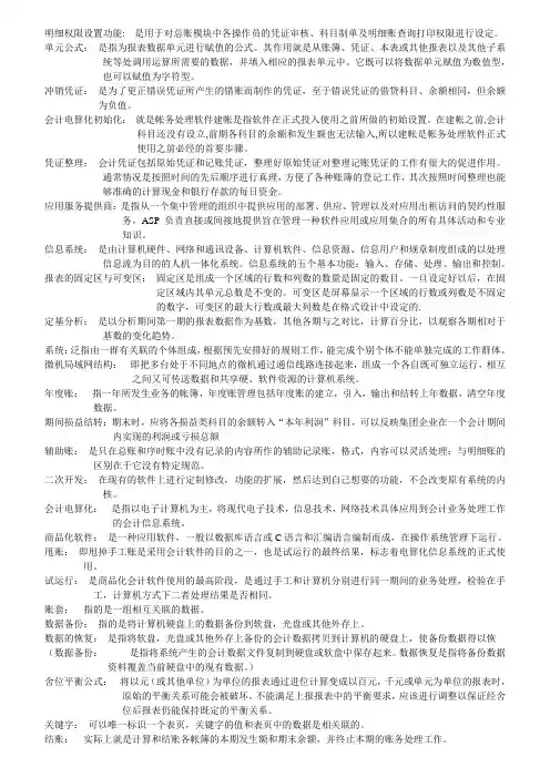 会计电算化 名词解释