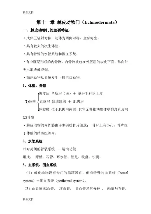 (整理)第十一章棘皮动物总结