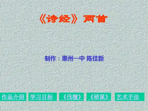 伐檀硕鼠