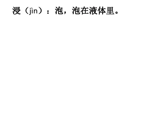 新人教版阿基米德原理推导