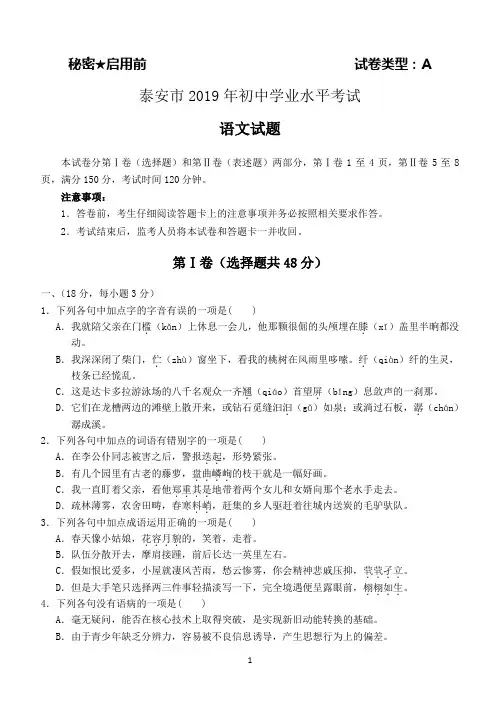 2019年山东省泰安市中考语文试题及答案