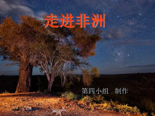 走进非洲PPT