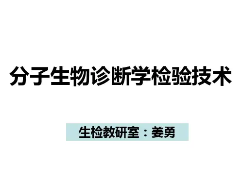 绪论