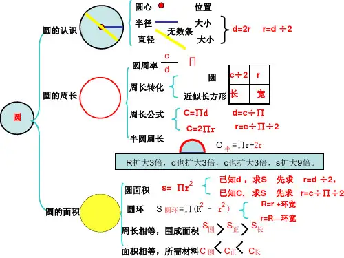 小学数学六上圆思维导图