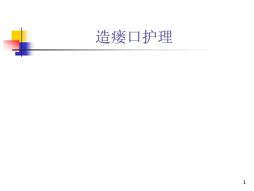 造瘘口护理PPT精选课件