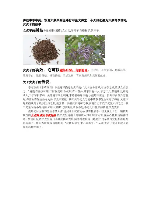 医路行-讲故事学中药(女贞子)