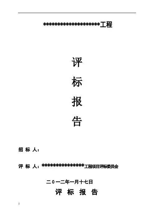评标报告范本 2