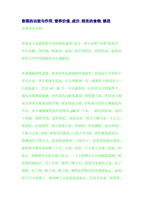 香菜的功效与作用,营养价值,成分,相克的食物,禁忌