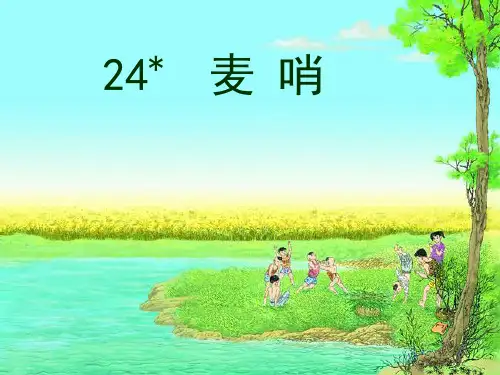 四年级语文下册第24课-《麦哨》课件