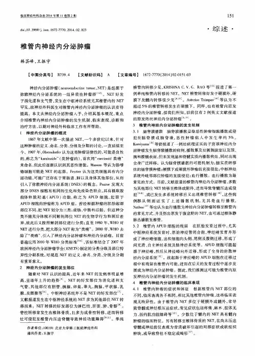 椎管内神经内分泌肿瘤