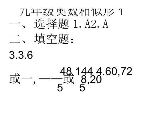 初中九年级奥数课件：相似性