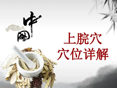 中医穴位详解：上脘穴