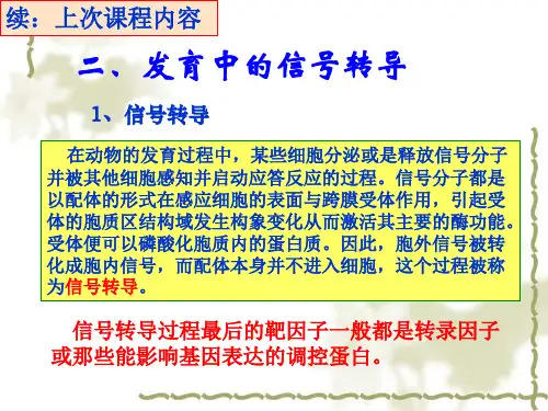 第三章生殖细胞发生(2009年3月19日)