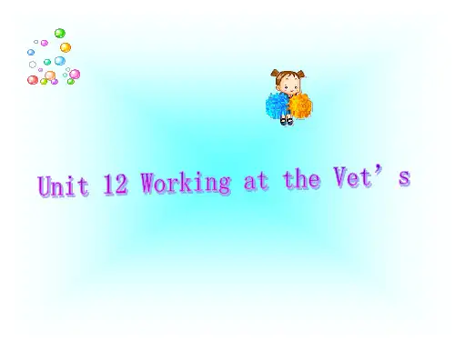 英语：Unit-12-《Working-at-the-Vet’s》复习课件(1)(北京课改版八年级下)