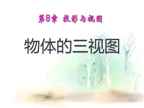 《物体的三视图》PPT课件