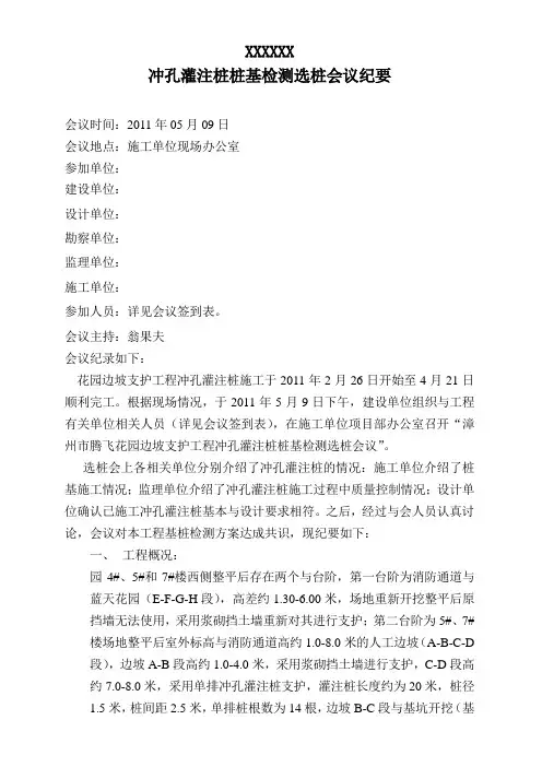 试桩选桩专题会议纪要