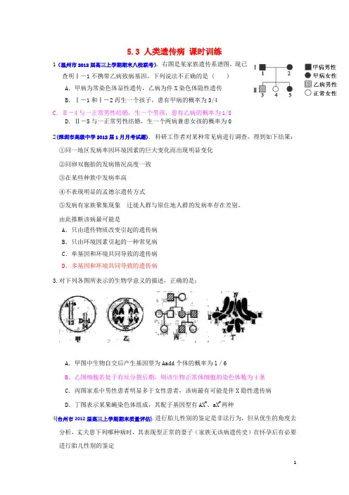 2013届高三生物一轮复习 遗传与进化 5.3 人类遗传病课时训练 新人教版