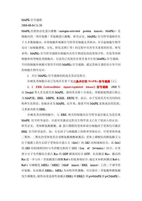 MAPK信号通路