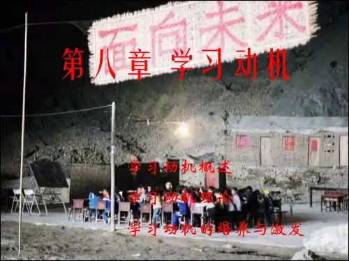 第八章  学习动机