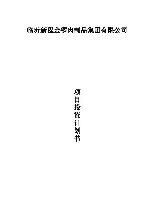 项目投资计划书