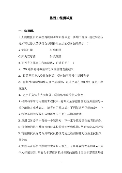 基因工程测试题