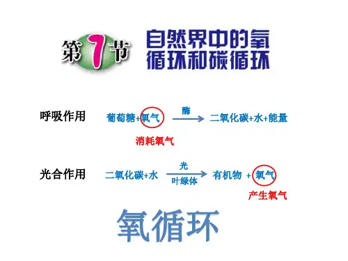 3.7自然界中的氧循环和碳循环
