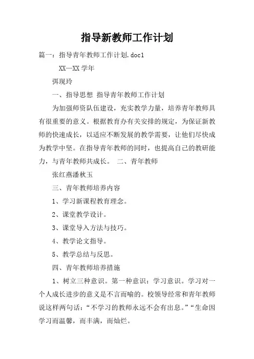 指导新教师工作计划doc